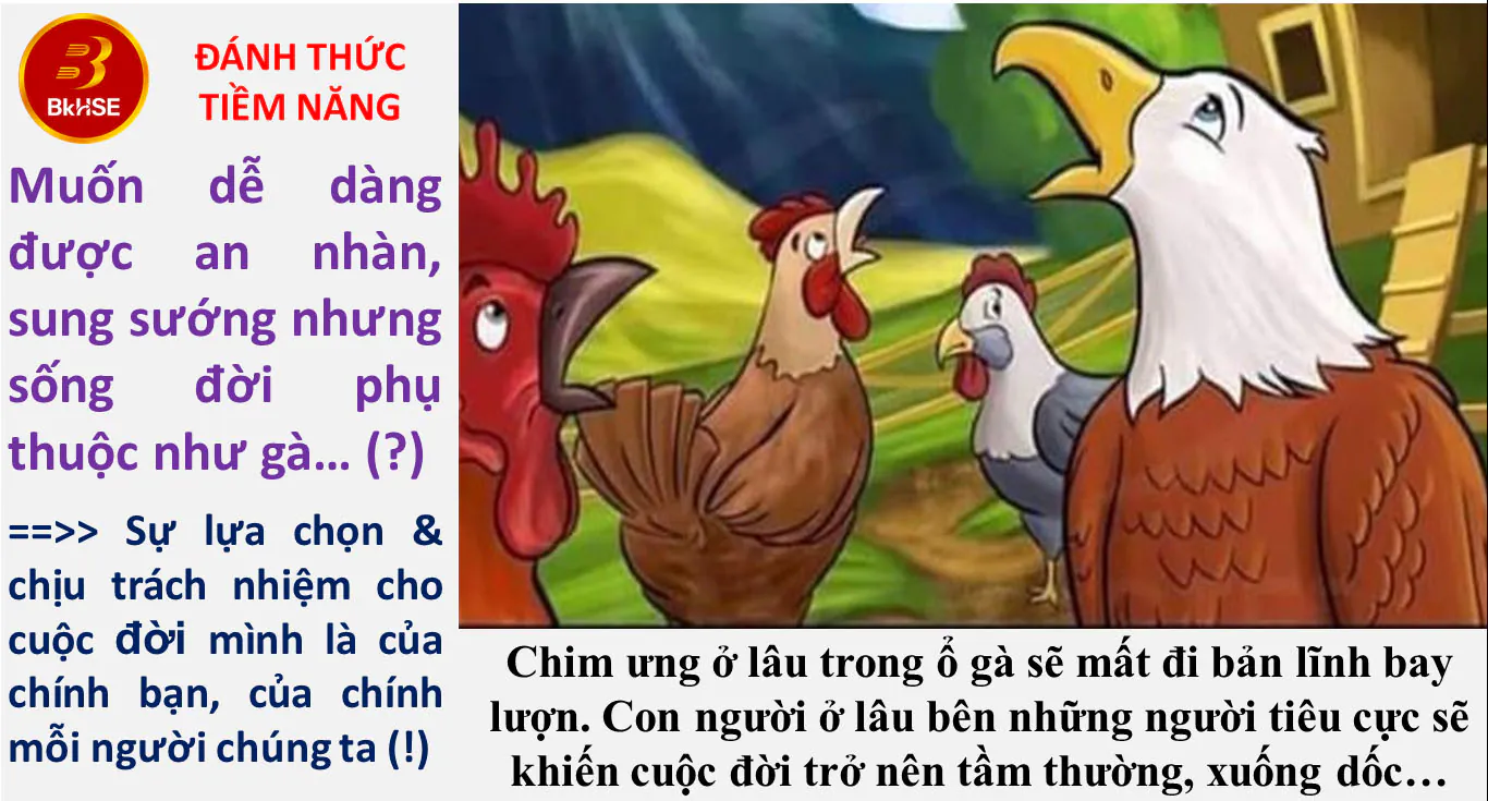 Hinh 20231011 1 Ga & Chimung