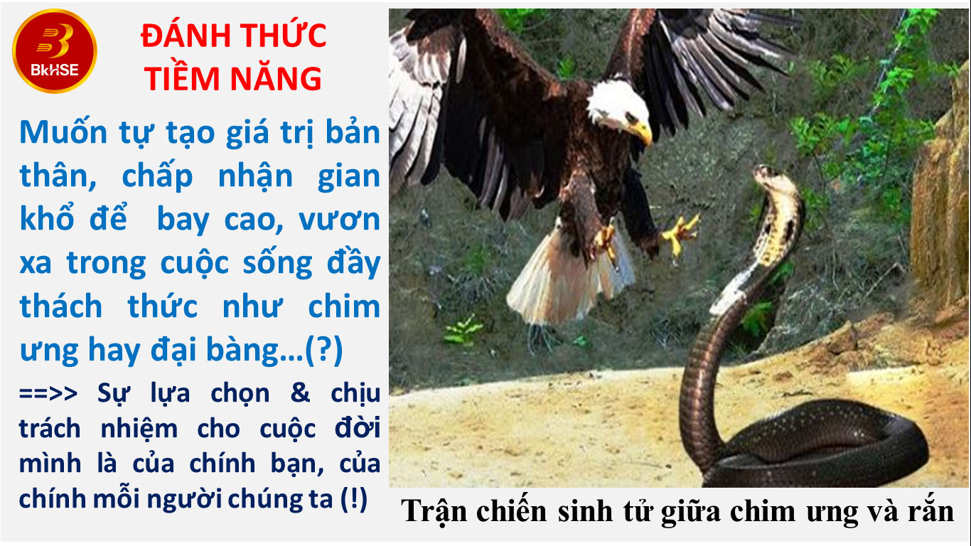 Hinh 20231011 2 Chimung & Ran